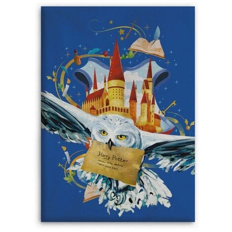 AYMAX Plaid Polaire Harry Potter Avec Edwige La Chouette Blanche Et Le Château De Poudlard En Arrière Plan - 100x140 Cm - Multicolor 3 AYMAX Plaid Polaire Harry Potter Avec Edwige La Chouette Blanche Et Le Château De Poudlard En Arrière Plan - 100x140 Cm - Multicolor