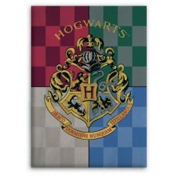 AYMAX Plaid Polaire Harry Potter Blason De Poudlard Hogwarts - 100x140 Cm - Multicolor