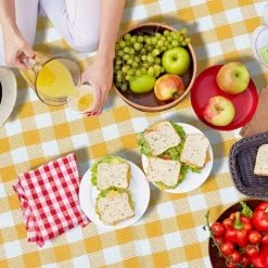 BRIDAY Picknickdecke Wasserdichte Tragbare Faltbar Picknick-Matte Waschbare Strandmatte Wärmeisoliert Stranddecke Campingdecke Mit Tragegriff Für Strand, Camping, Picknick,Reise (200×200cm) -Plaid et couverture Soldes 43150244 5