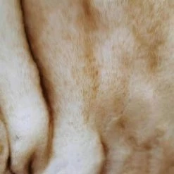 ILOVEMILAN 60X150 Cm Couverture De Luxe En Fausse Fourrure Couverture De Renard Imitation Fausse Fourrure Jeter Couverture Décorative Lit Canapé Couverture -Plaid et couverture Soldes 44933282 3