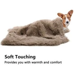 Couverture En Molleton Pour Animaux De Compagnie De Qualité Supérieure, Jeté De Couverture Pour Chien Et Chat, Tapis De Sommeil Double Couche Lavable Pour Lit De Chien, Canapé, Canapé, Voiture S: 56*35cm Beige LangRay 11 Couverture En Molleton Pour Animaux De Compagnie De Qualité Supérieure, Jeté De Couverture Pour Chien Et Chat, Tapis De Sommeil Double Couche Lavable Pour Lit De Chien, Canapé, Canapé, Voiture S: 56*35cm Beige LangRay -Plaid et couverture Soldes 45202055 5