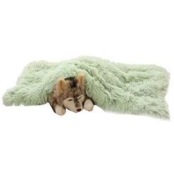 Couverture En Molleton Pour Animaux De Compagnie De Qualité Supérieure, Jeté De Couverture Pour Chien Et Chat, Tapis De Sommeil Double Couche Lavable Pour Lit De Chien, Canapé, Canapé, Voiture M: 78*54cm Fruit Vert LangRay