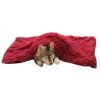 Couverture En Molleton Pour Animaux De Compagnie De Qualité Supérieure, Jeté De Couverture Pour Chien Et Chat, Tapis De Sommeil Double Couche Lavable Pour Lit De Chien, Canapé, Canapé, Voiture M: 78*54cm Vin Rouge LangRay 2 Couverture En Molleton Pour Animaux De Compagnie De Qualité Supérieure, Jeté De Couverture Pour Chien Et Chat, Tapis De Sommeil Double Couche Lavable Pour Lit De Chien, Canapé, Canapé, Voiture M: 78*54cm Vin Rouge LangRay -Plaid et couverture Soldes 45202068 1