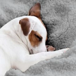 Beautissu Alina Plaid Sherpa Plaid Doux XXL 200cm, 150cm, Gris Clair -Plaid et couverture Soldes 47588166 5