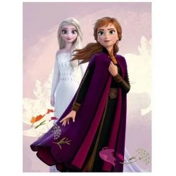 AYMAX Plaid Polaire La Reine Des Neiges Elsa Et Anna - 100 X 140 Cm - Multicolor