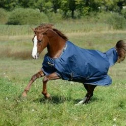 Couverture ExtÃ©rieur 50 G Irish Turnout Light Bucas