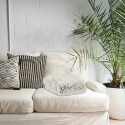 JARDIBRICODECO Plaid Fausse Fourrure Blanc -Plaid et couverture Soldes 55316646 5