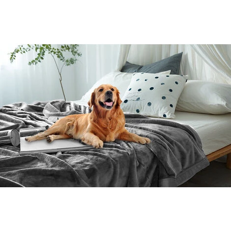 SWANEW Couverture Câline, Couverture Polaire, Couverture Moelleuse, Chaude, Super Douce, 150 X 200 Cm - Gris 5 SWANEW Couverture Câline, Couverture Polaire, Couverture Moelleuse, Chaude, Super Douce, 150 X 200 Cm - Gris – Image 3