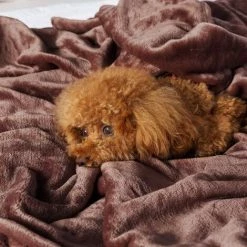 MINKUROW Couverture Câline Couverture Polaire Moelleuse, Douce Et Chaude Pour Canapé-lit, Couverture Comme Couverture De Canapé, 200 X 230 Cm Marron Foncé -Plaid et couverture Soldes 64682624 4