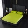 YIDOMDE Protège-matelas Imperméable, Vert, Taille (120*200+30cm) Respirant, Pelucheux & Coton, Hypoallergénique, Anti-acariens, Antibactérien Couvre-lit Simple 1 YIDOMDE Protège-matelas Imperméable, Vert, Taille (120*200+30cm) Respirant, Pelucheux & Coton, Hypoallergénique, Anti-acariens, Antibactérien Couvre-lit Simple -Plaid et couverture Soldes 67166577 1